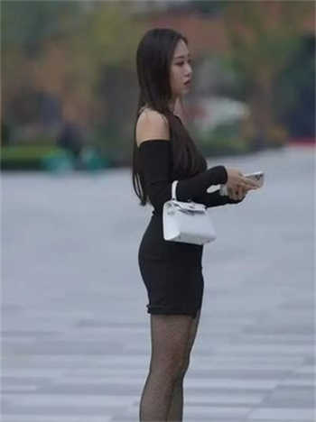 女巫的猫所有小说