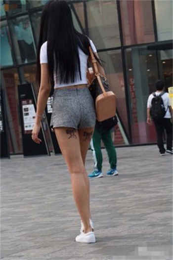 卧龙影视最新破解