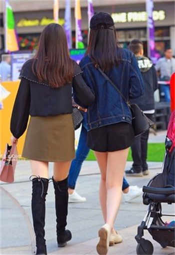 房东的猫美丽女人