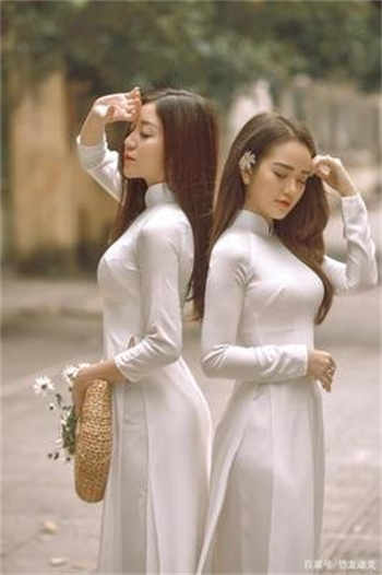 玫瑰夫人双女王vk
