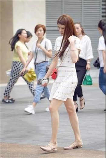 主人道具调数小说