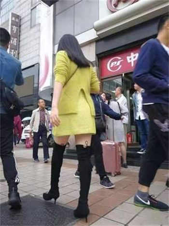 苏卿陆容渊最新更新恭