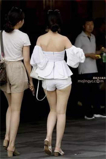 冷少的专宠全文免费阅读